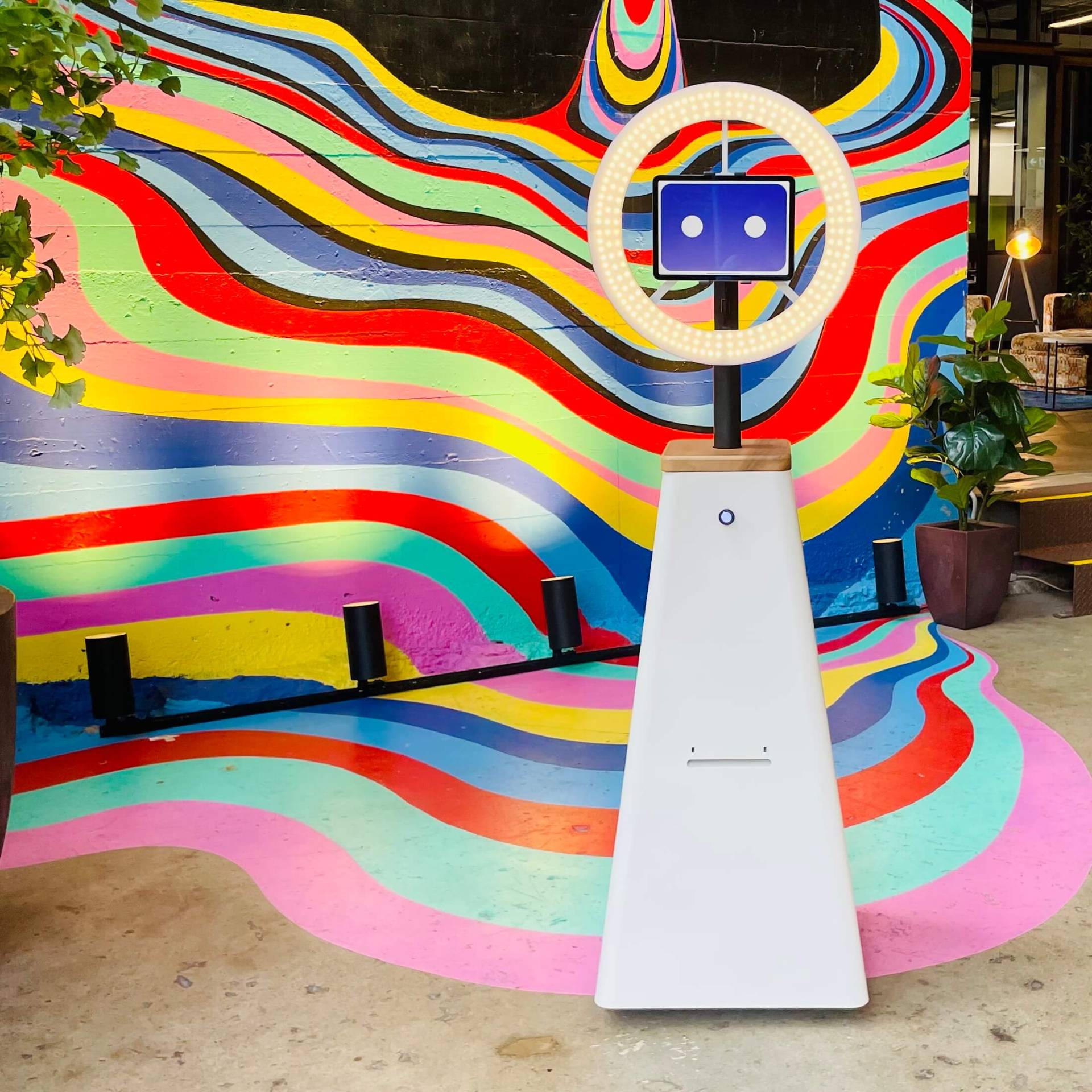 The Social Rover robot